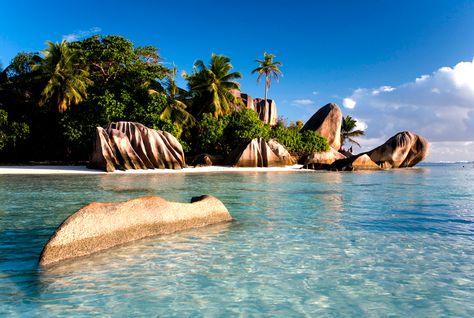 Seychelles Yacht Agent Superyachts