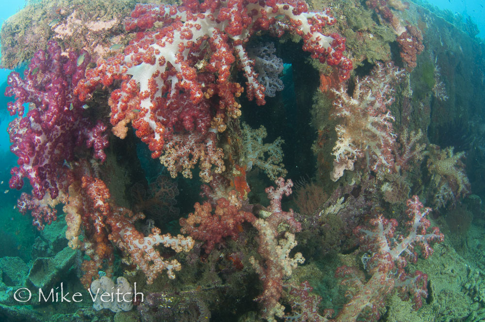 Wreck Diving by Mike Veitch, The Lighthouse Consultancy