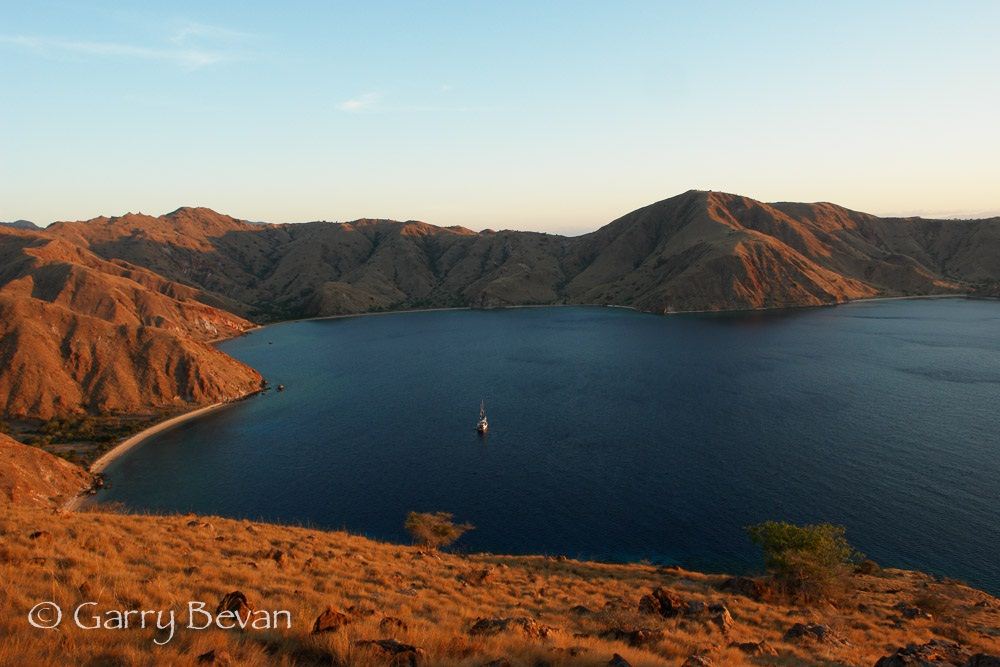 Komodo, photo by Garry Bevan/Lighthouse Consultancy