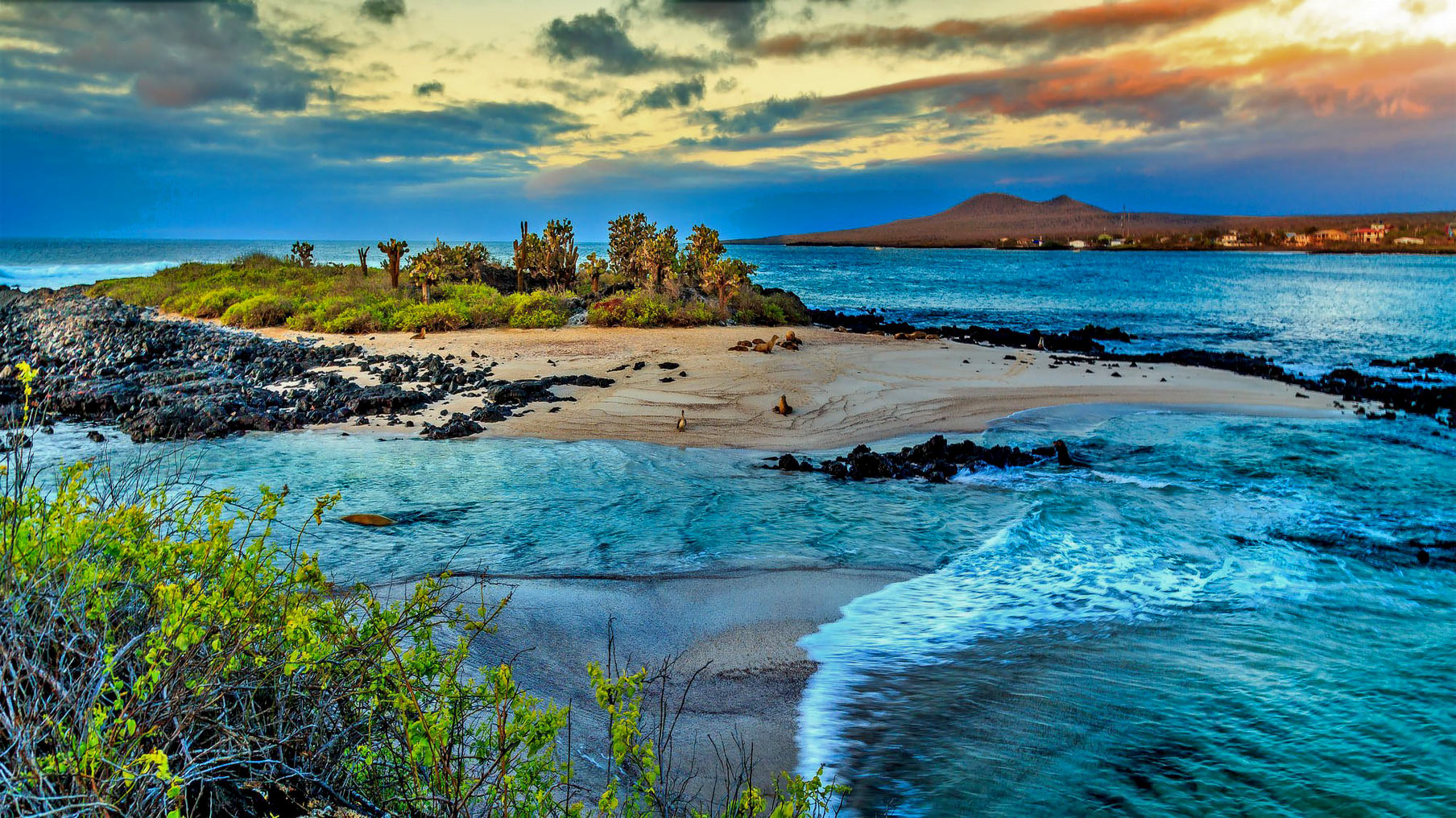 Snor smøre Lægge sammen The Galápagos Islands, Nature's Perfection | Seal Superyachts