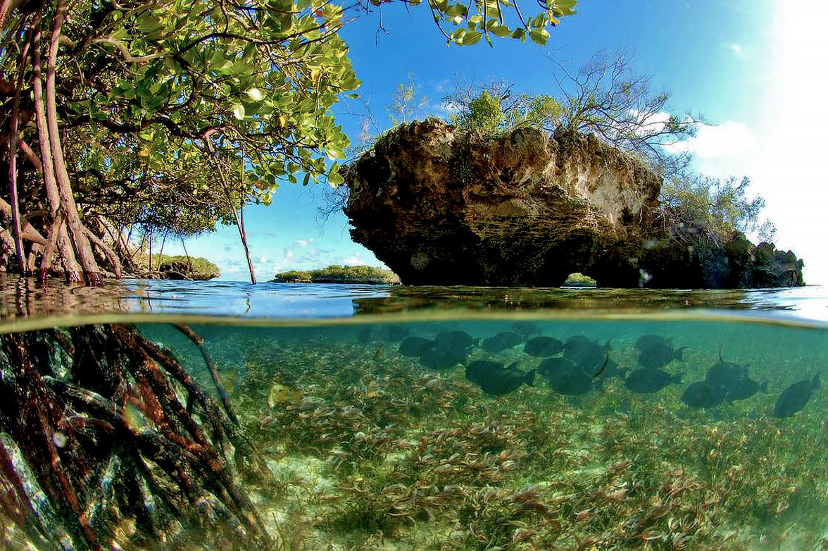 Seychelles sea