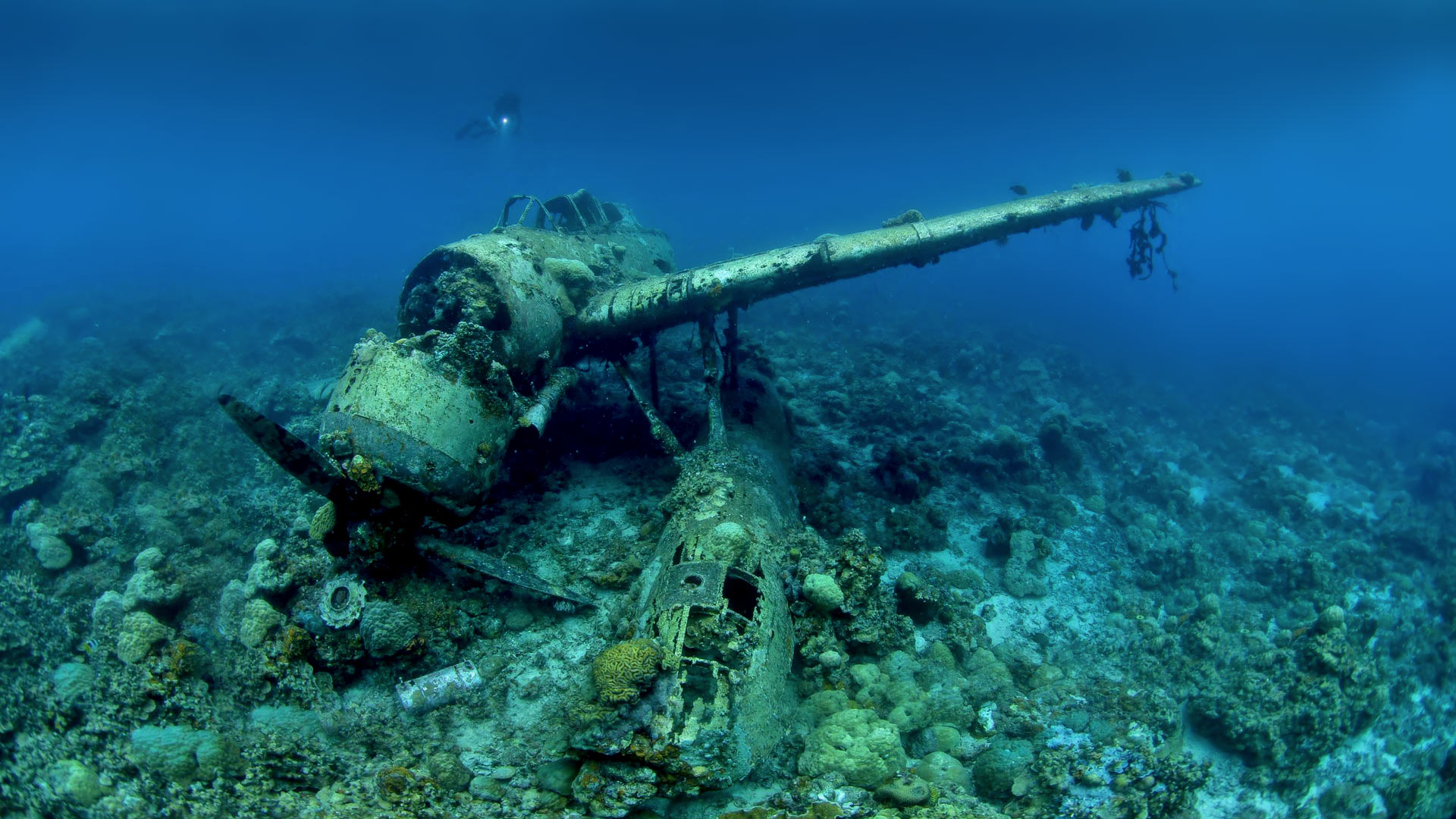 Chuuk Lagoon World War 2 wreck.