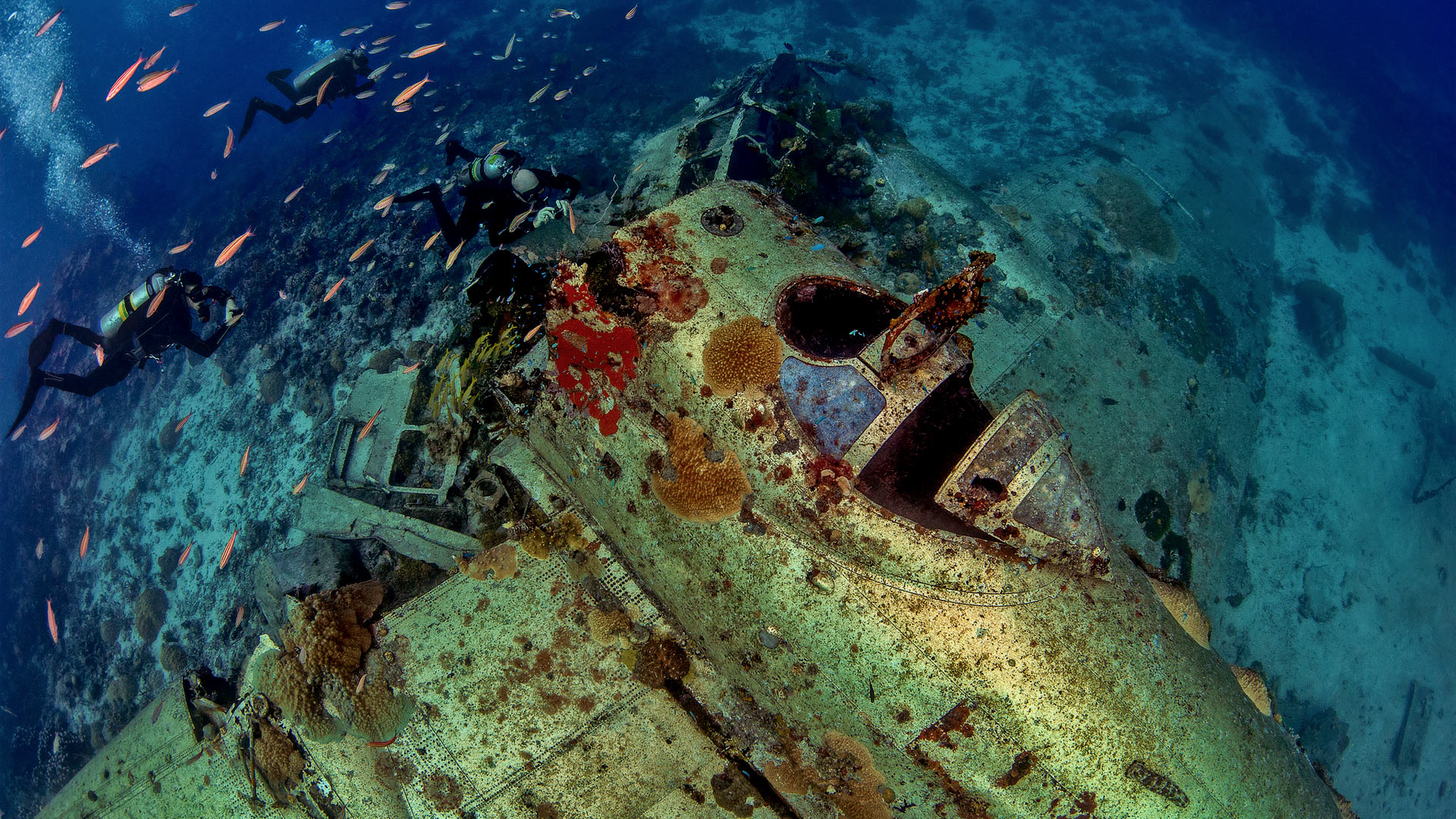 Chuuk Lagoon Japanese WWII airplane wreck
