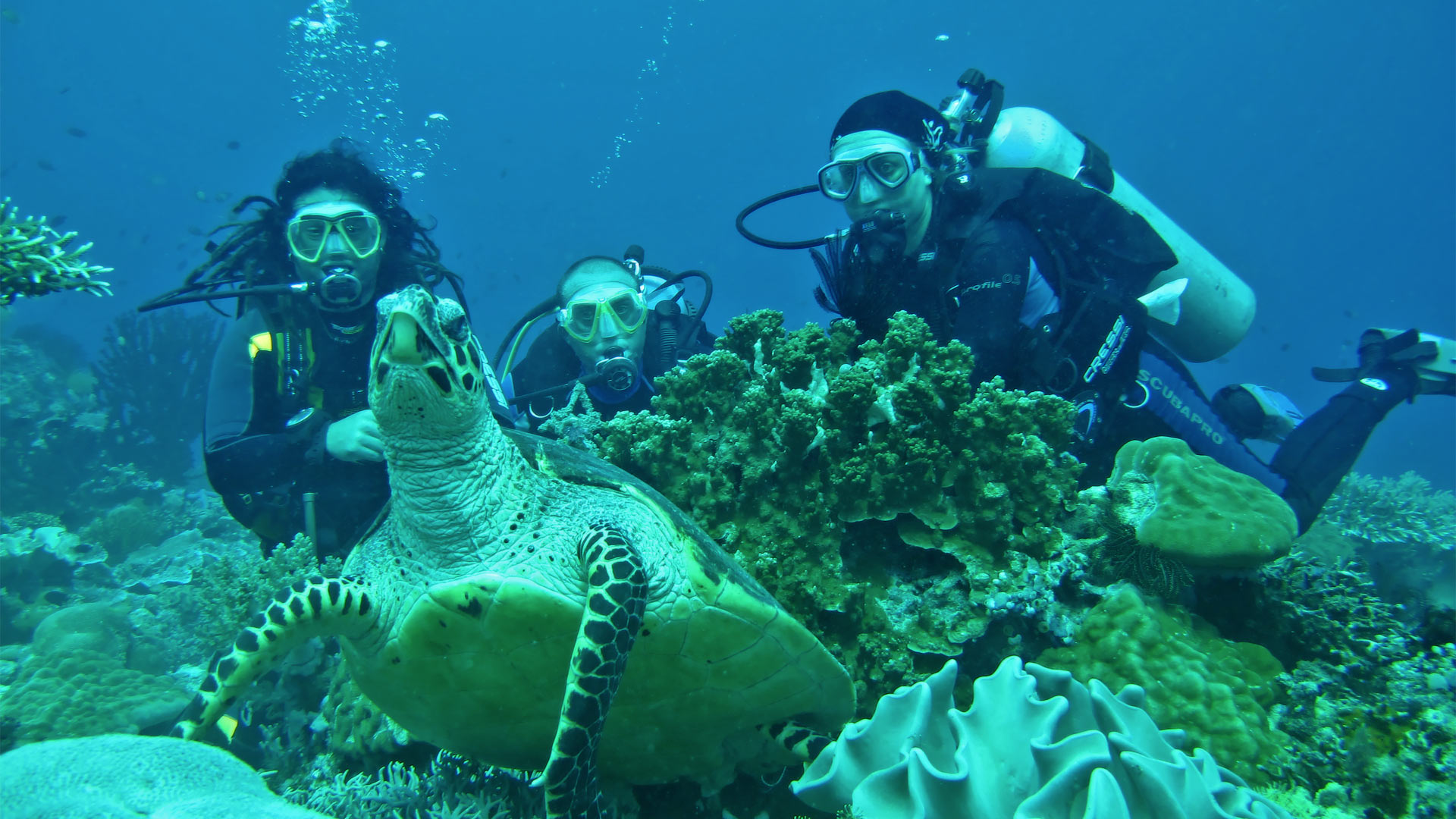 Diving in the Philippines, by Superyacht.