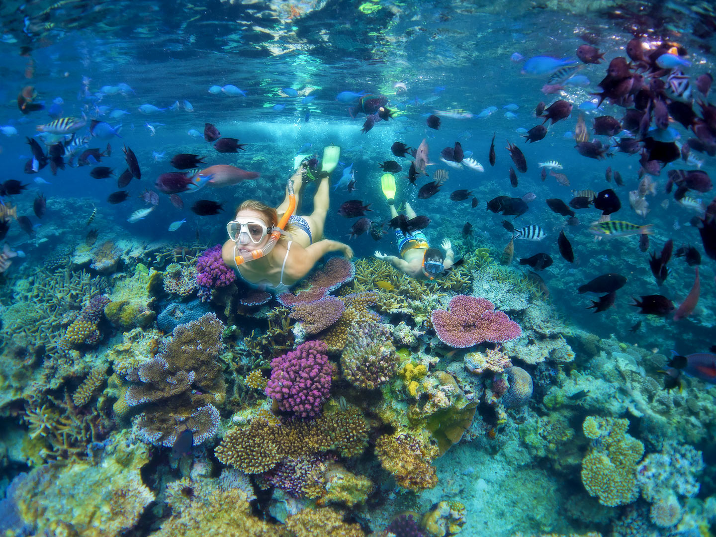 Vanuatu Snorkeling via Superyacht.