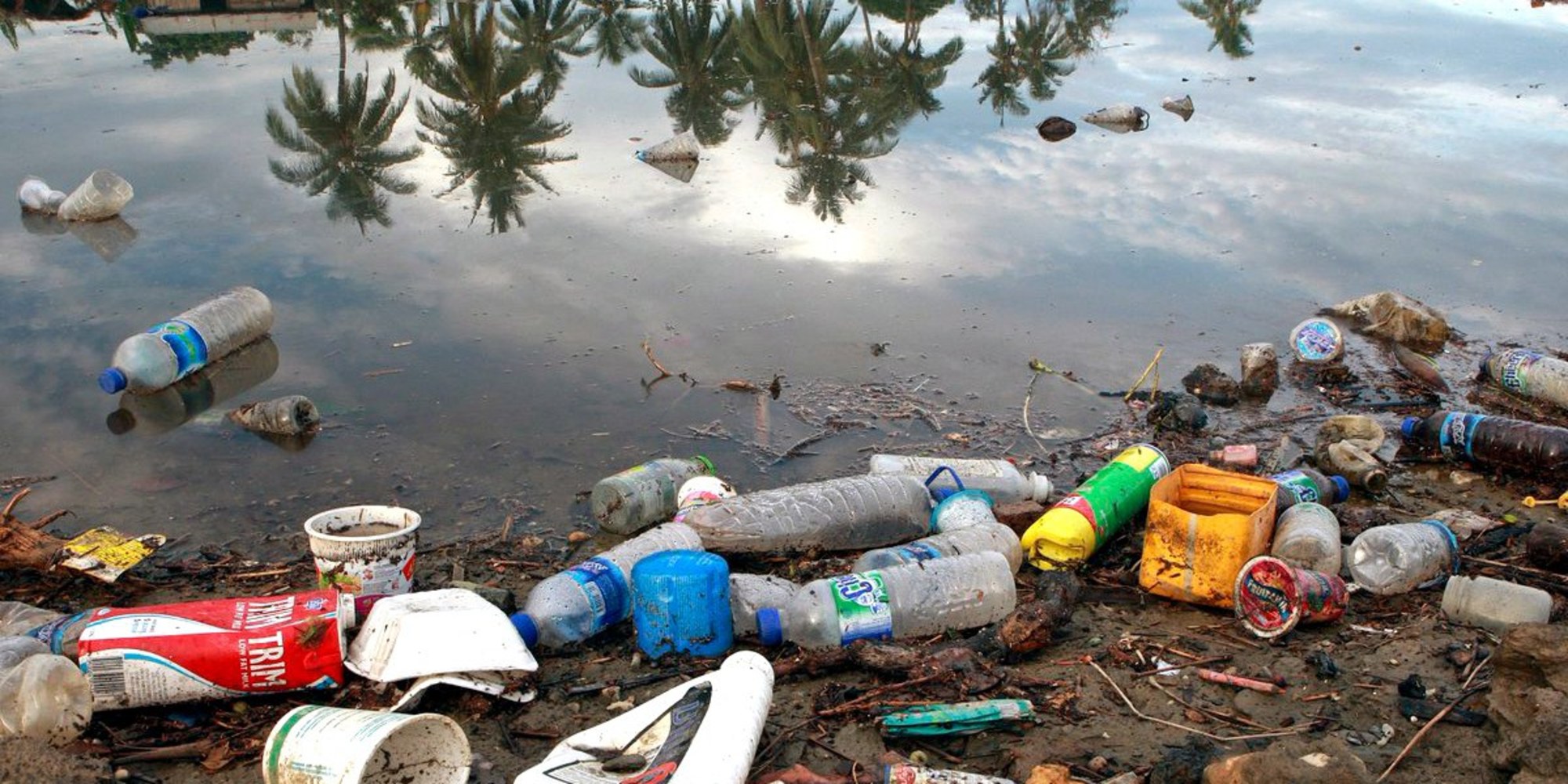 Plastic rubbish pollution.