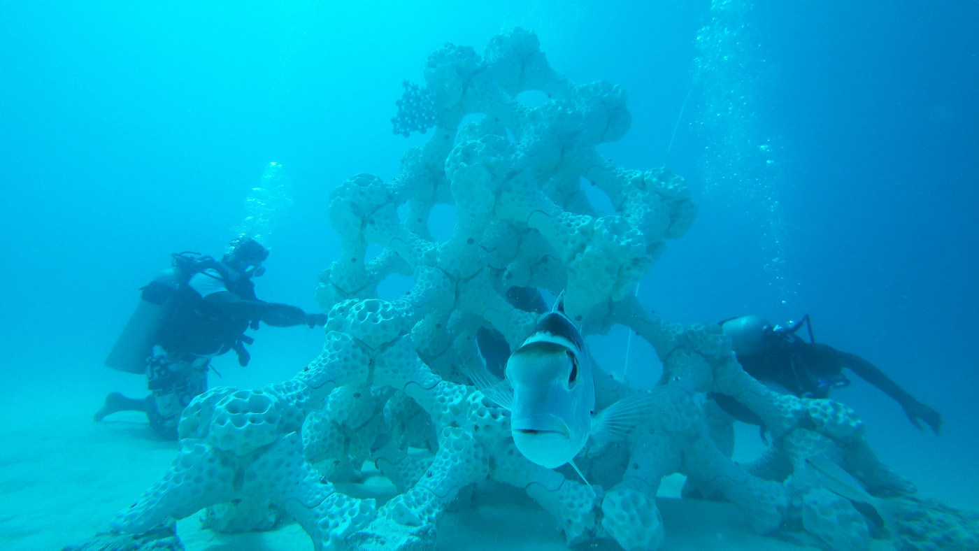 3D Printed Reef, Maldives