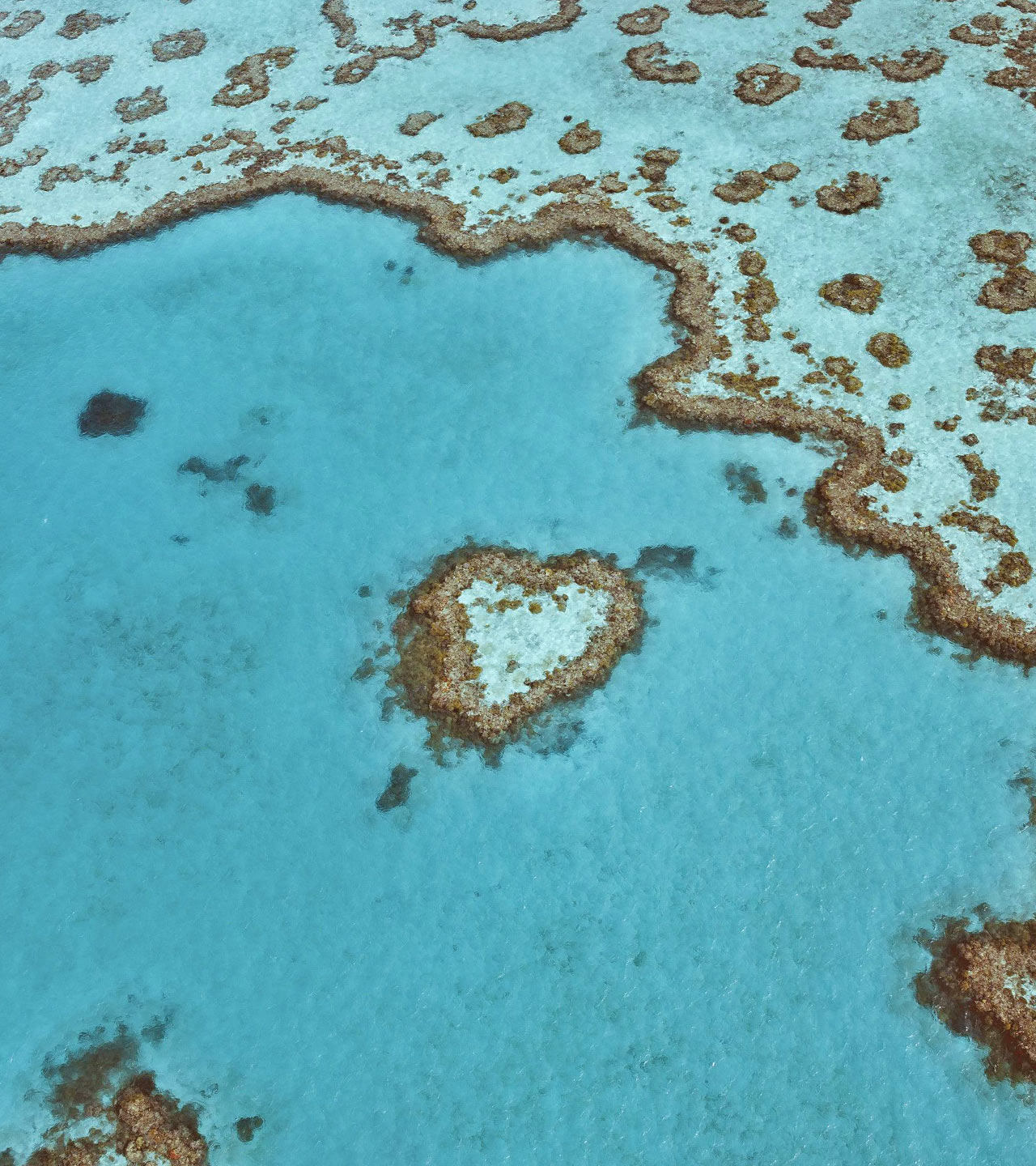 Heart Reef