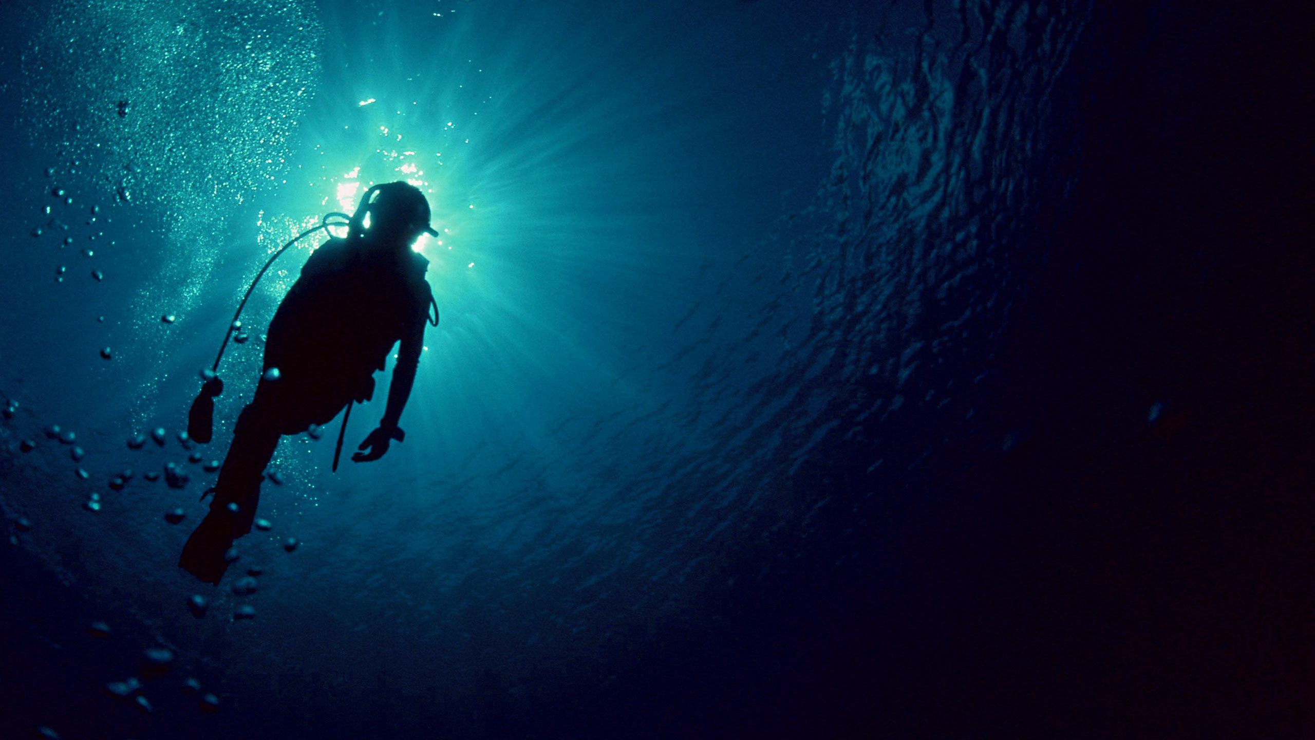 diving-from-superyacht