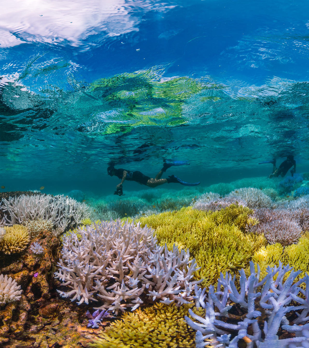New Caledonia Barrier Reef