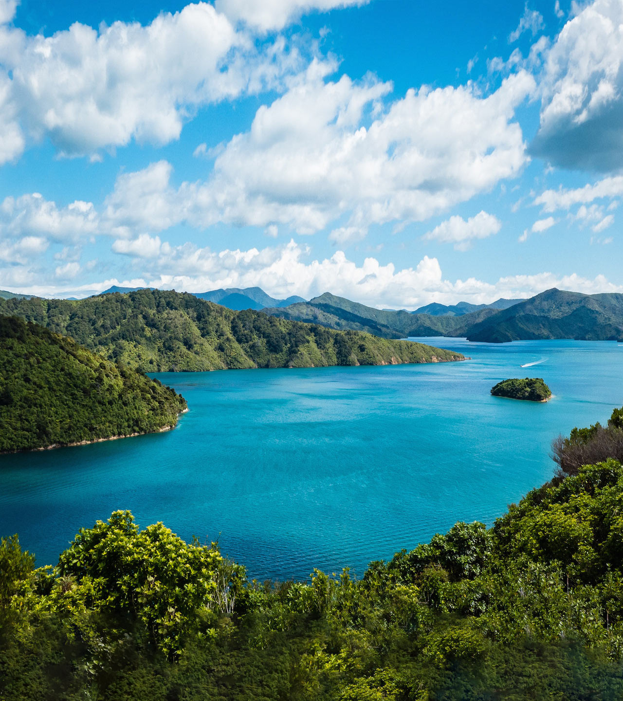 yacht season nz