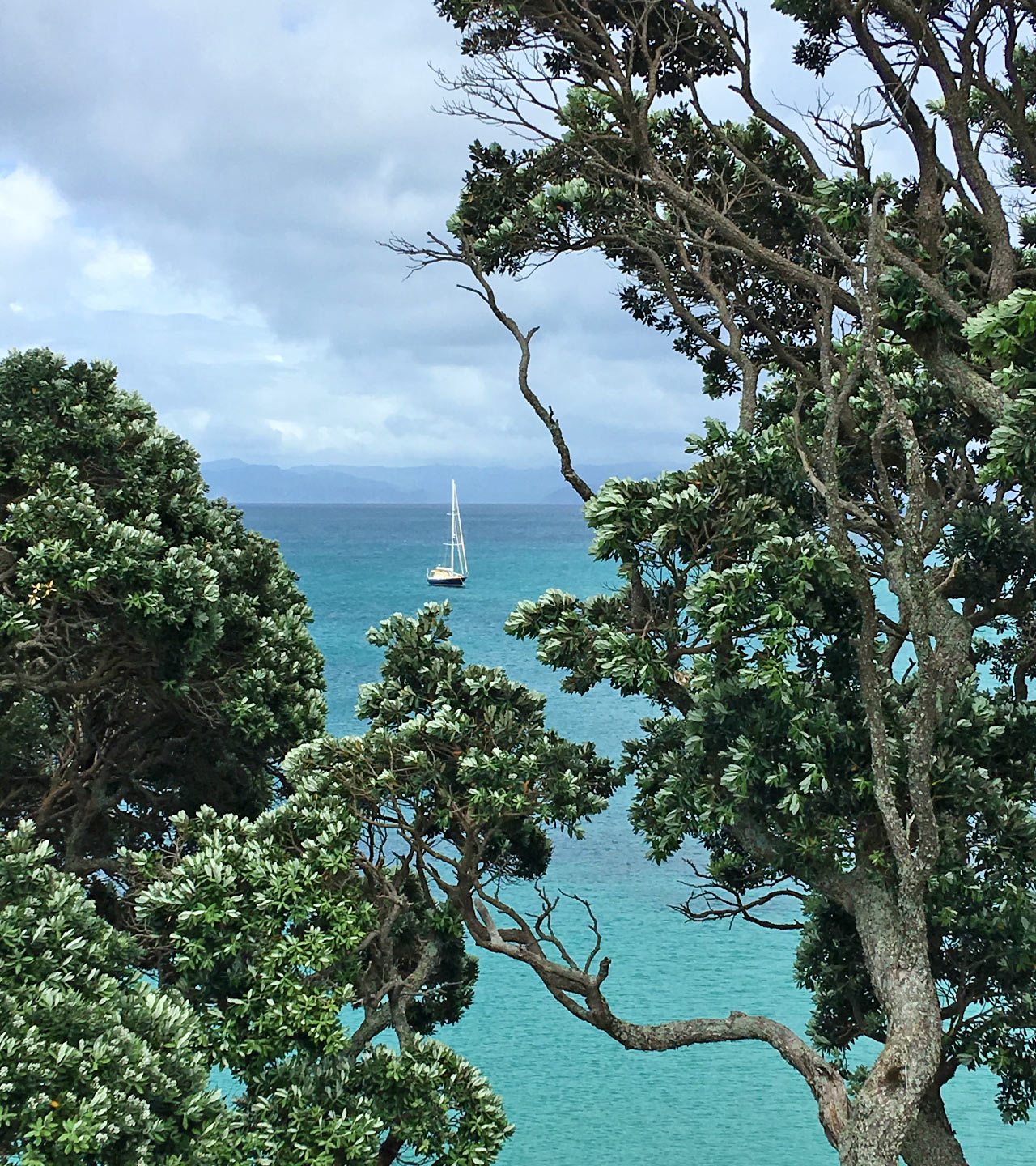 yacht season nz