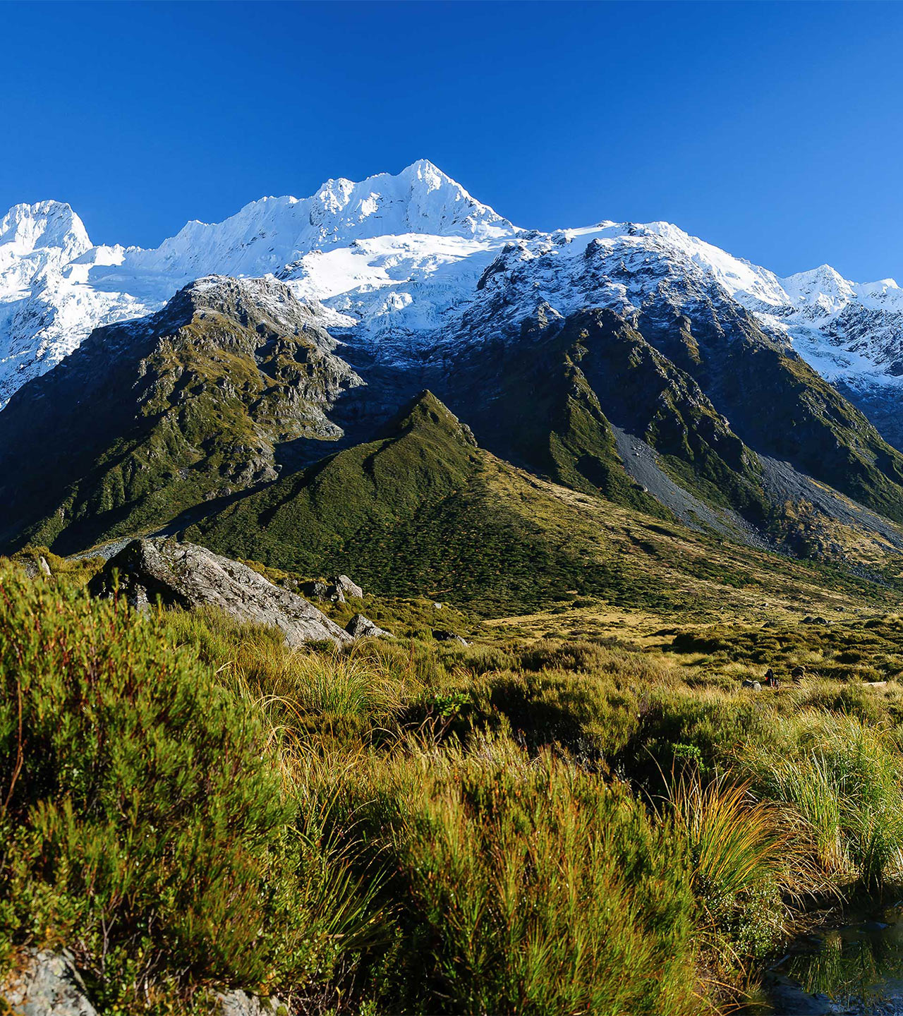 yacht season nz