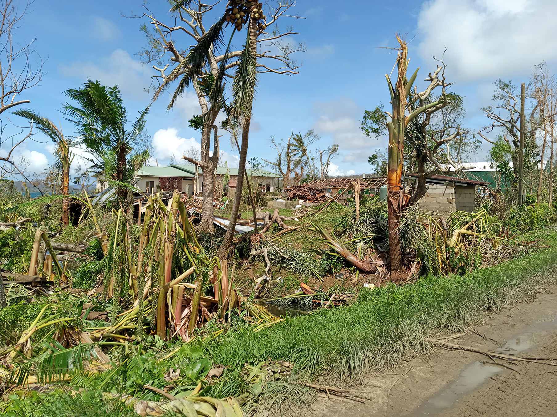 Cyclone Harold Wrecks Havoc On Vanuatu