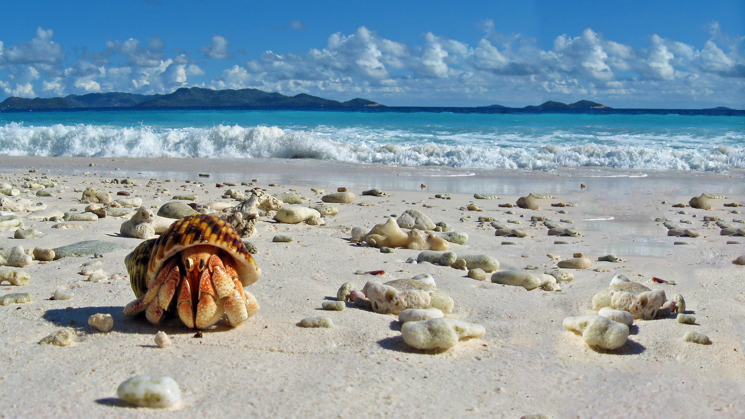 A guide to Seychelles’ Aride Island Special Reserve